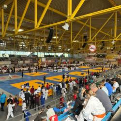 Hessische Kampfrichter international im Einsatz beim Austria Cup