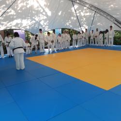 Judoka mit einer Beeinträchtigung zeigen Ihr Können beim Festival des Sports auf dem Hessentag 2023 in Pfungstadt